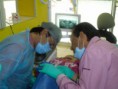 /album/fotogaleria%3a-mis-compa%c3%b1eros/a317124-191286344276941-1032420451-n-jpg/